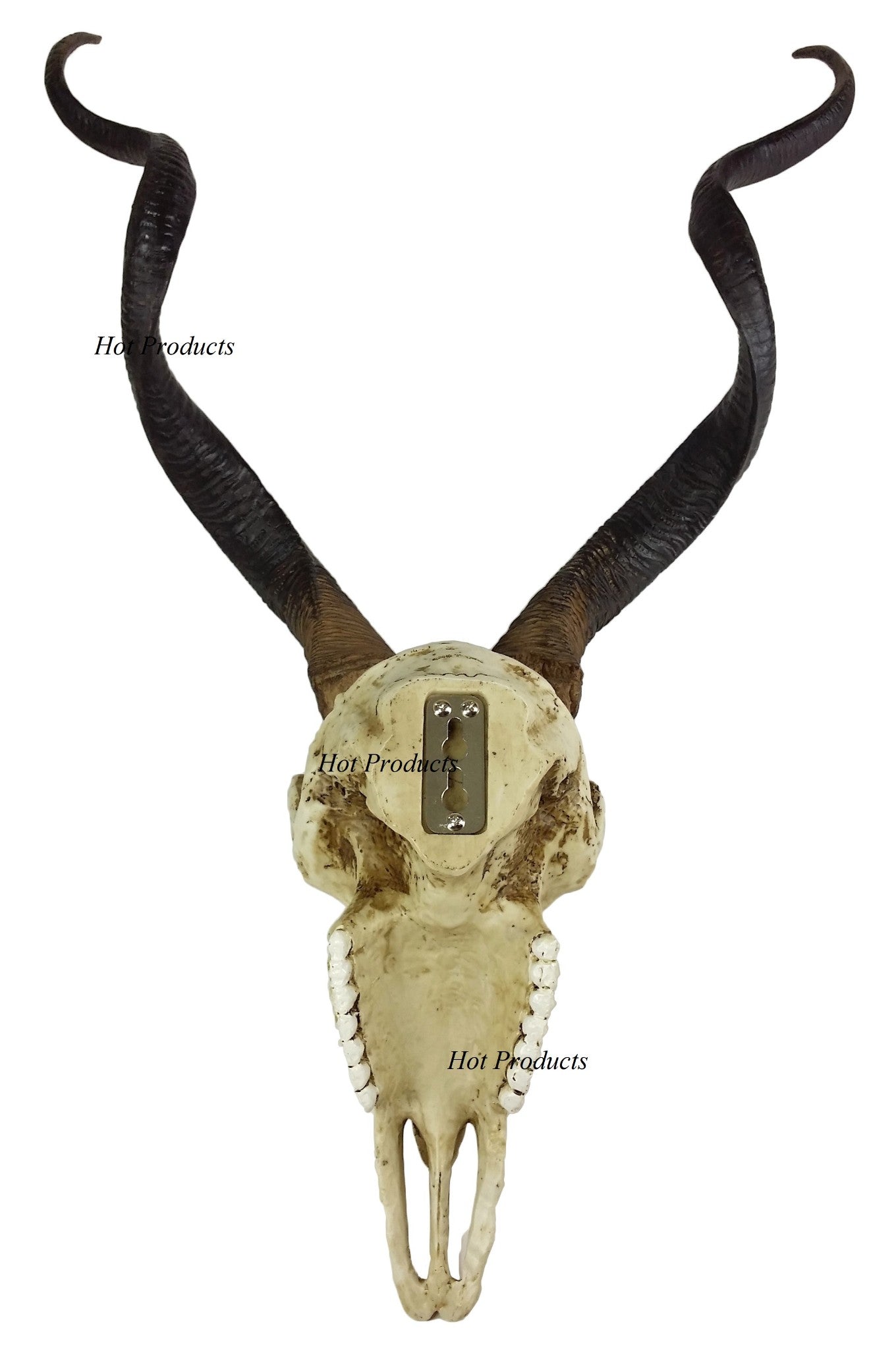 23" African Kudu Antelope Skull Replica Wall Hanging Plaque Statue Twisted Horns