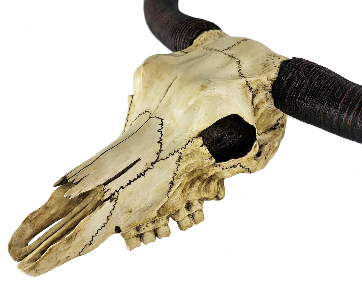 19" Longhorn Bull Cow Skull Replica Wall Mount Plaque Statue