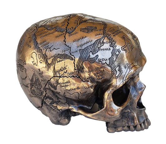 6" Craniography Treasure Map Human Skull Statue Bronze Finish