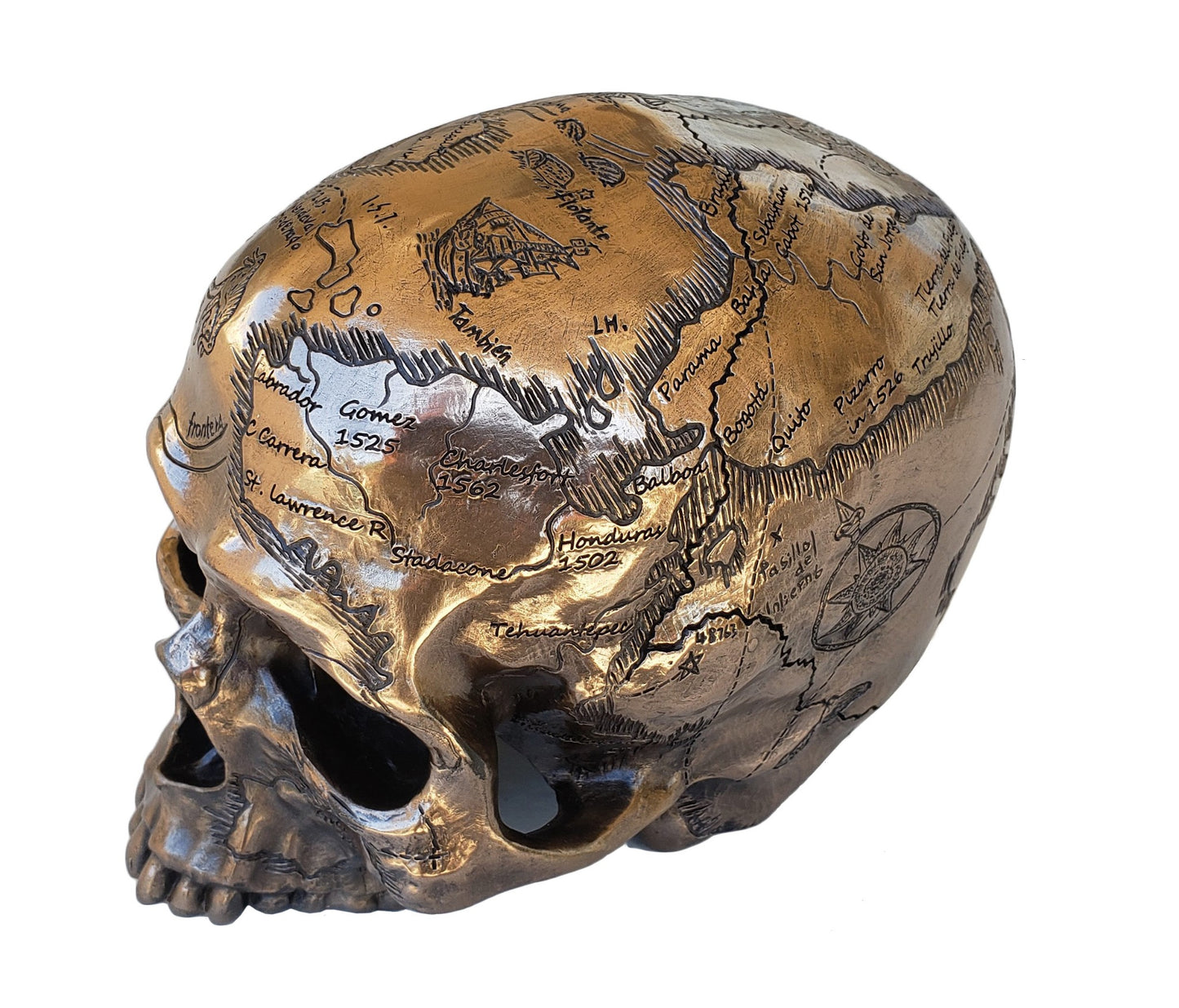 6" Craniography Treasure Map Human Skull Statue Bronze Finish